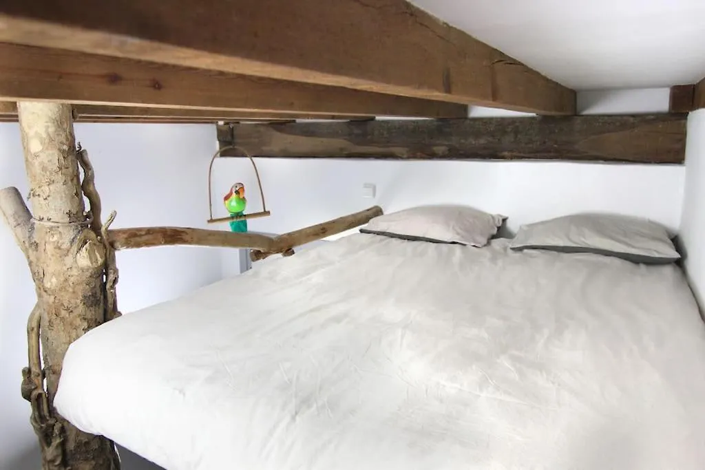 Ferienwohnung La Casa Del Arbol San Sebastián 0*,